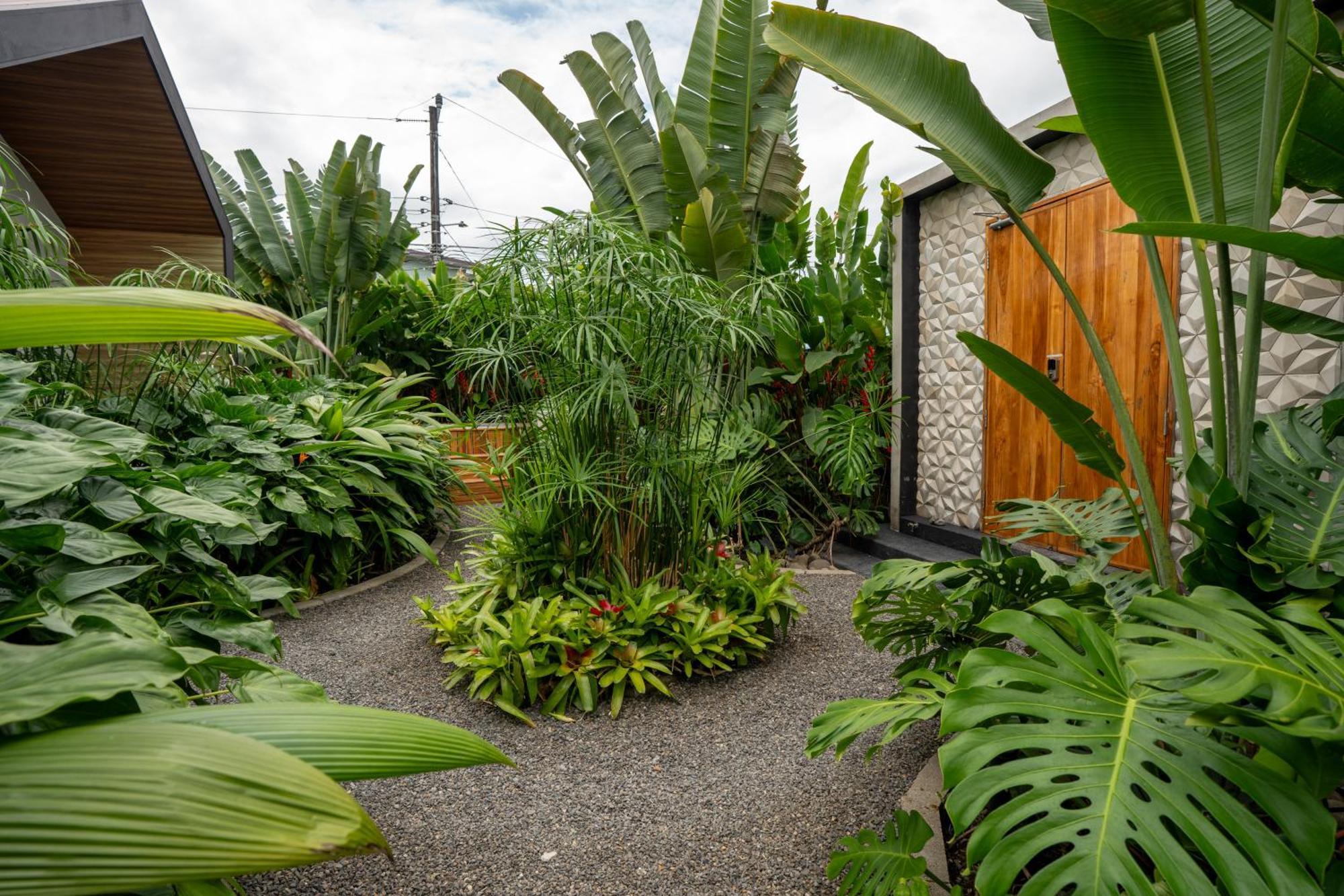 Suwa Villa Arenal La Fortuna Dış mekan fotoğraf
