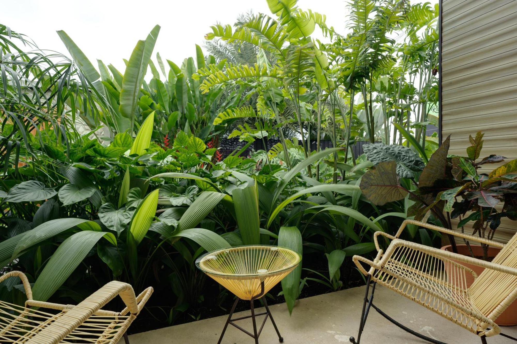 Suwa Villa Arenal La Fortuna Dış mekan fotoğraf